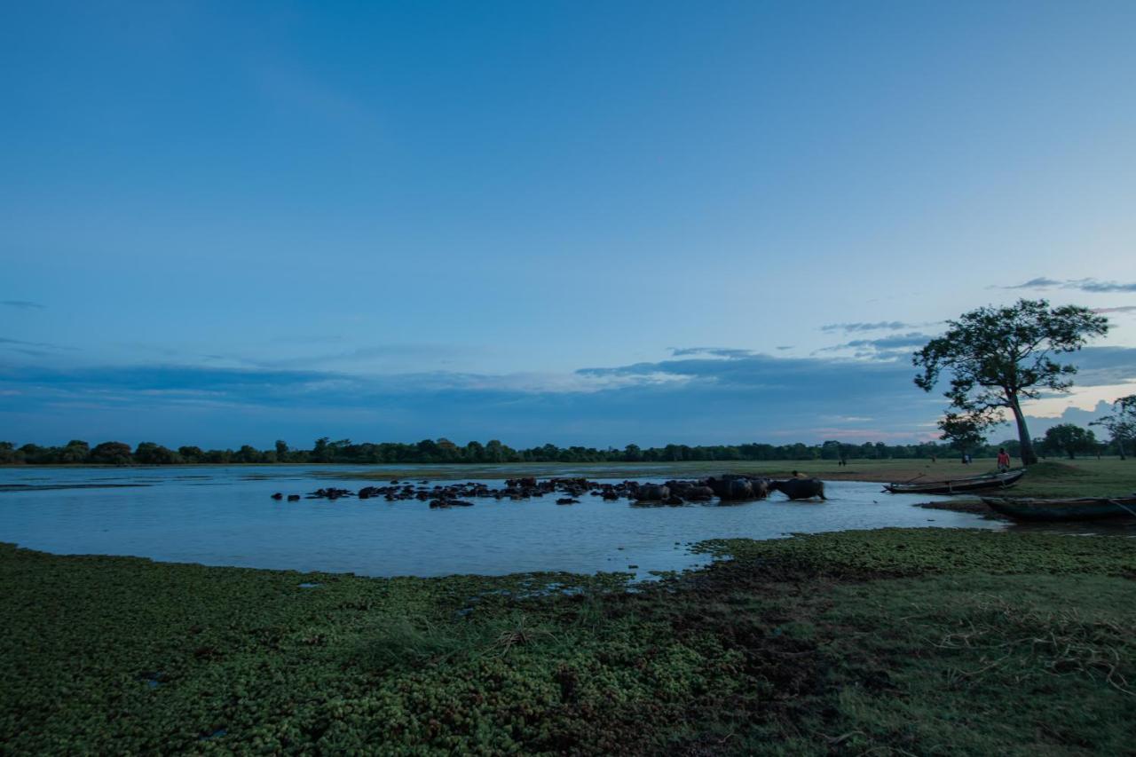 Tranquil Wild Villa Tanamalwila Exterior foto